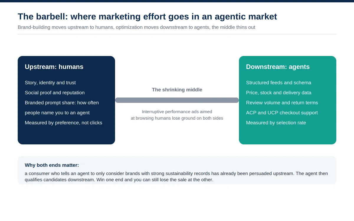 Barbell diagram showing marketing effort splitting into upstream brand-building aimed at humans and downstream machine-facing optimization aimed at AI agents, with a shrinking middle for interruptive performance ads.
